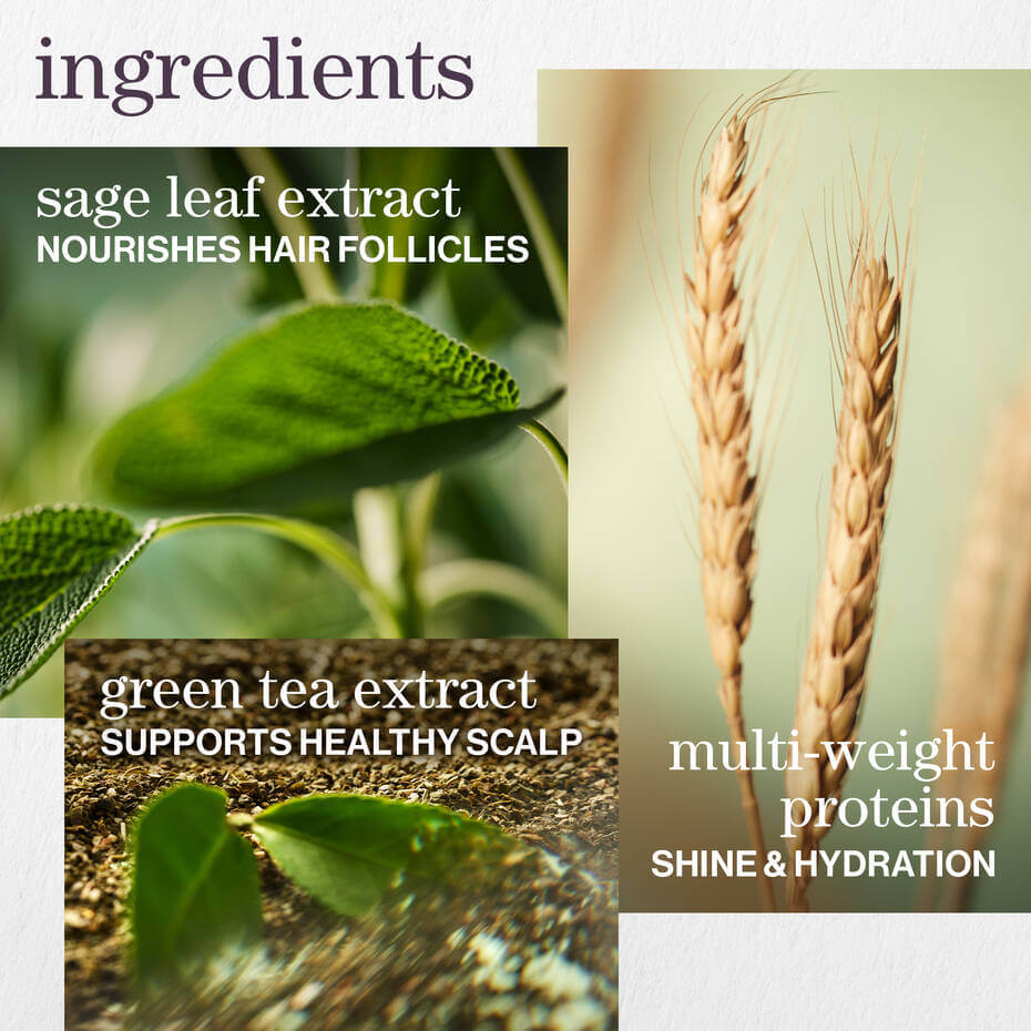 Hydrate Conditioner  - image 6