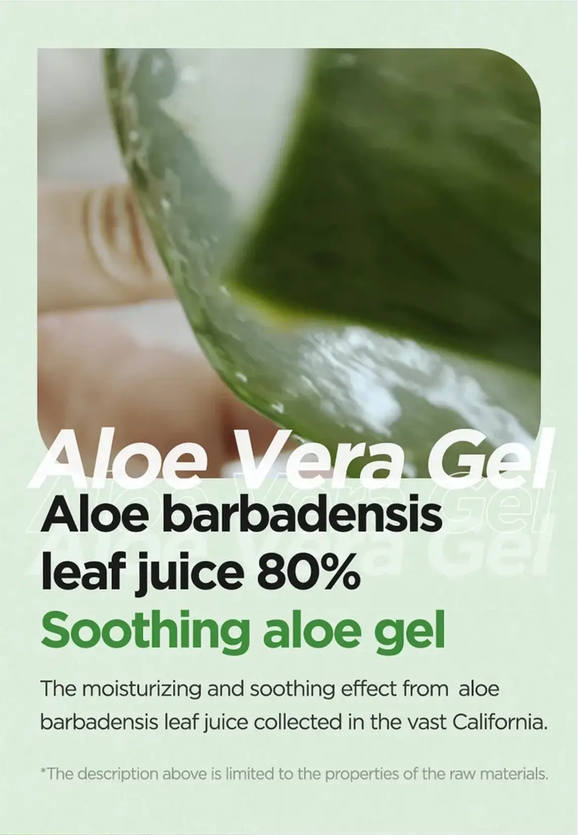 Aloe Soothing Gel Moisture Type - image 5