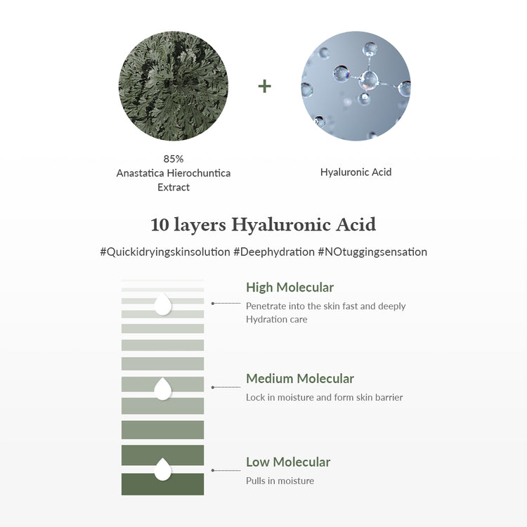 Anastatica Skin Conditioning Toner - image 5