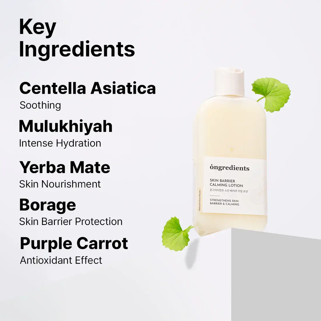 Centella Asiatica Skin Barrier Calming Lotion - image 4