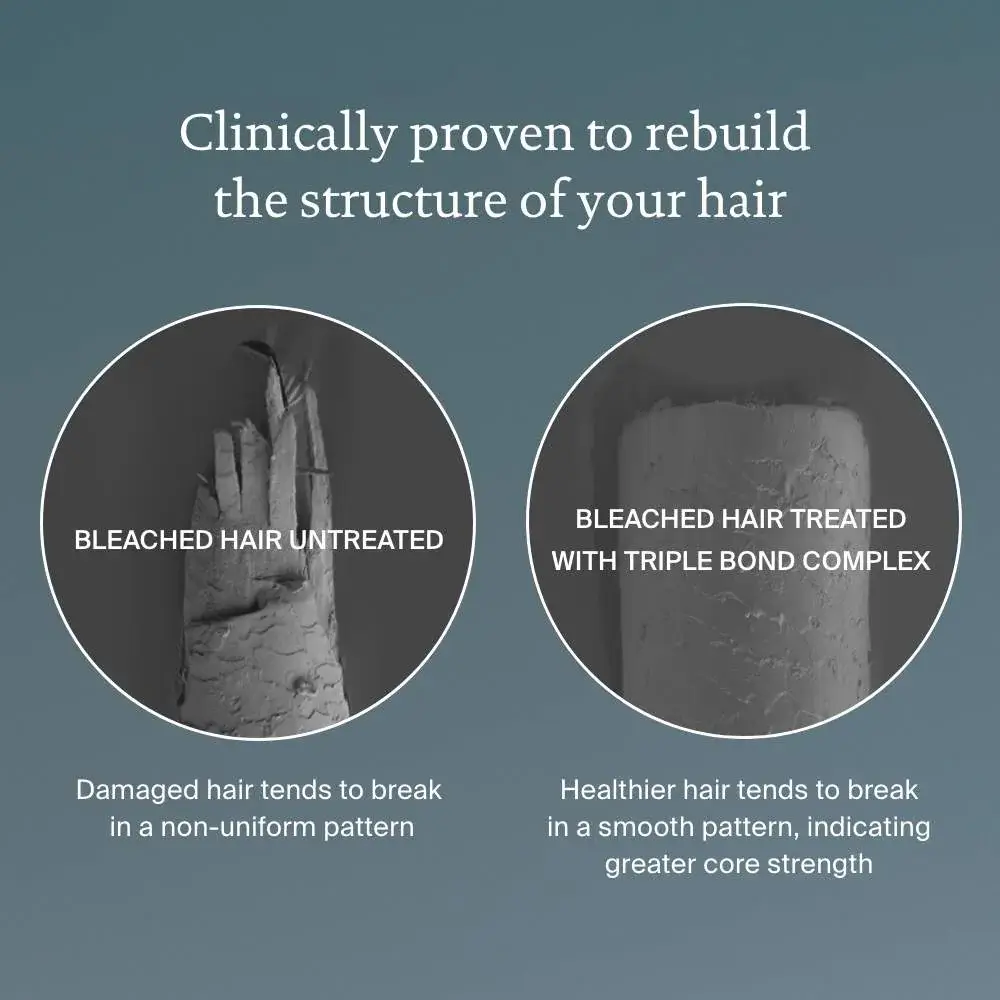 Triple Bond Complex - image 3