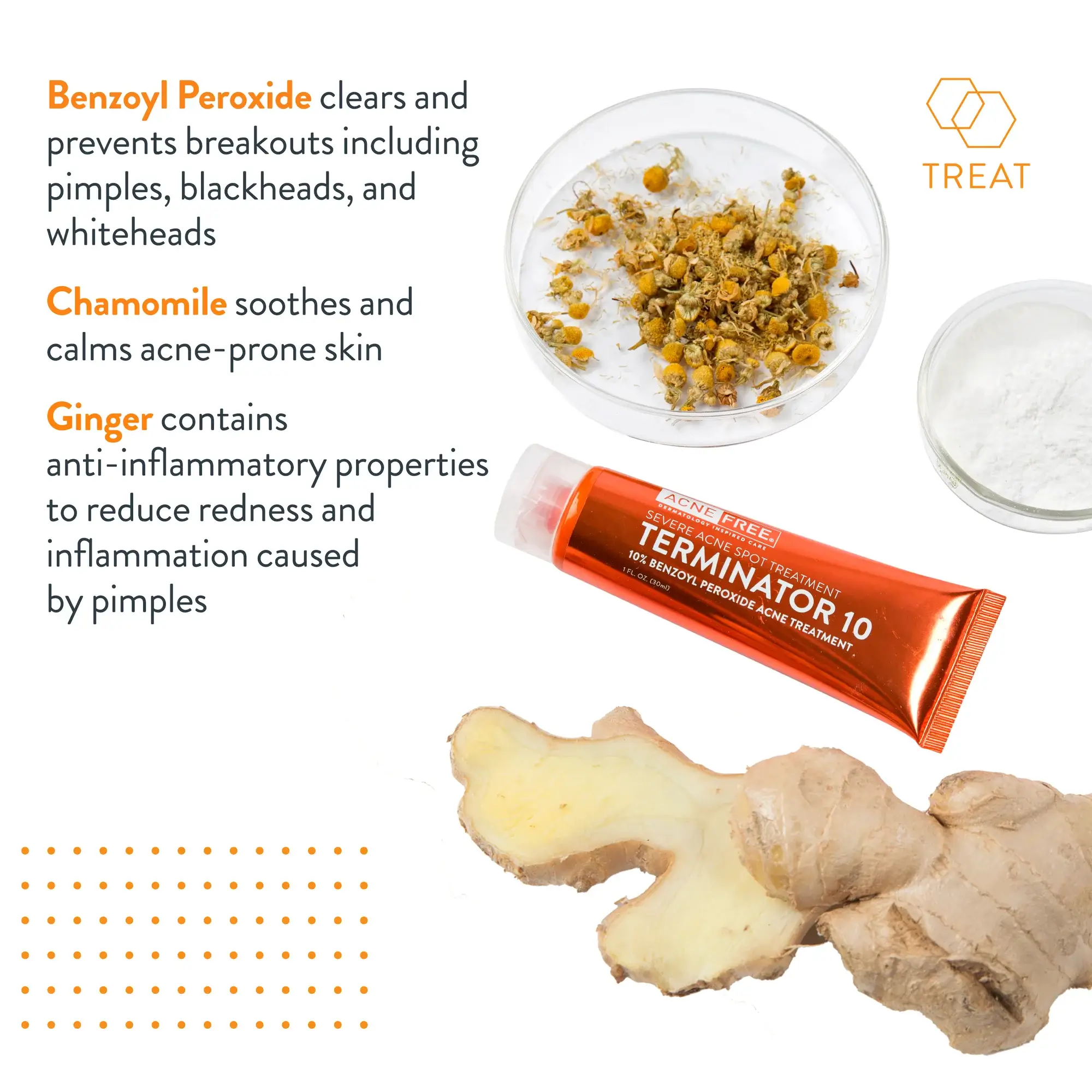 Terminator 10  - image 3