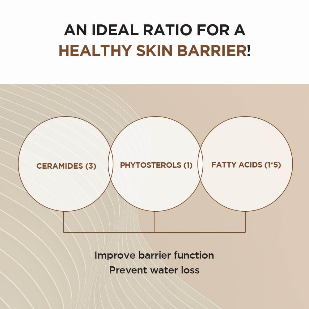 PROBIO-CICA Intensive Ampoule - image 5