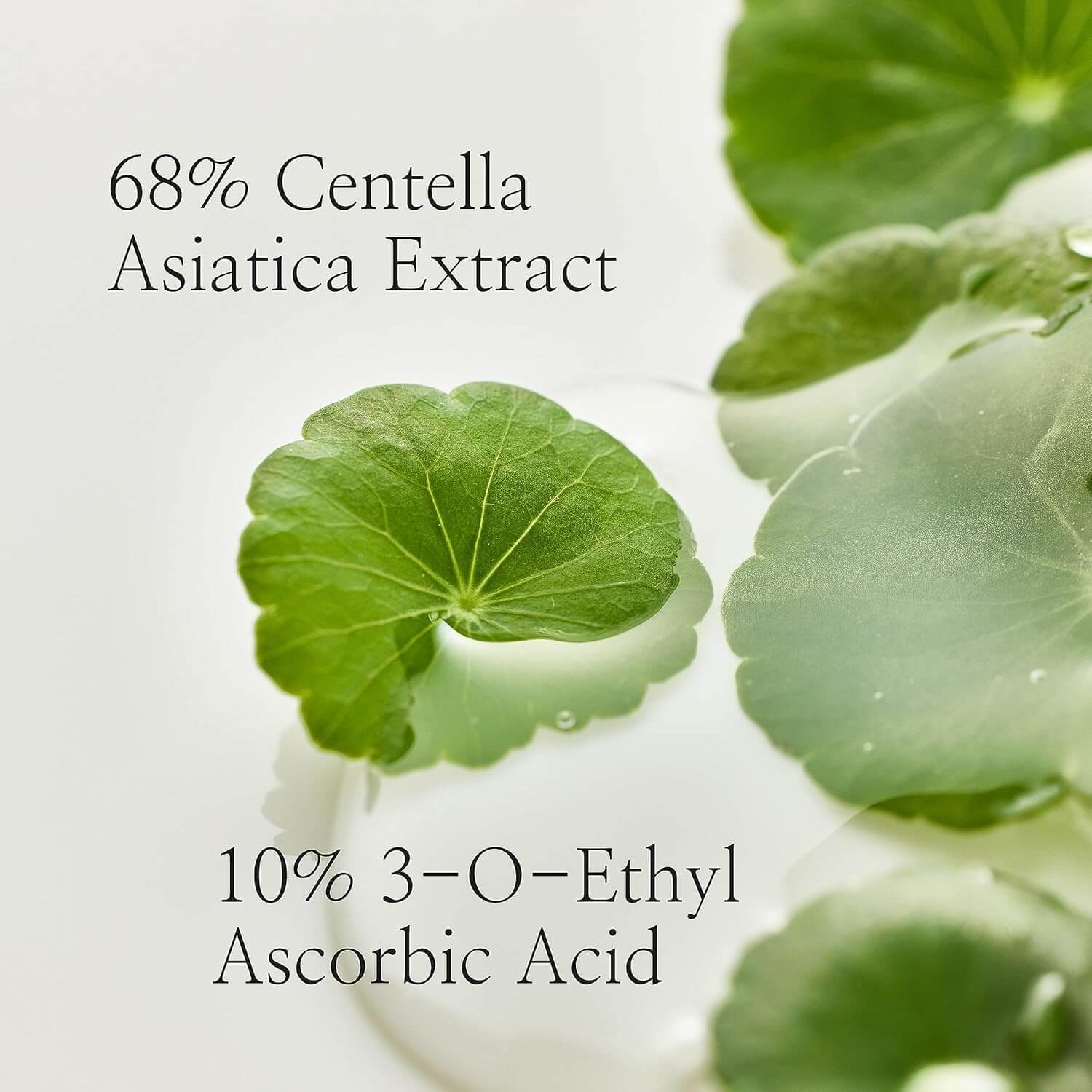 Light On Serum : Centella + Vita C - image 4