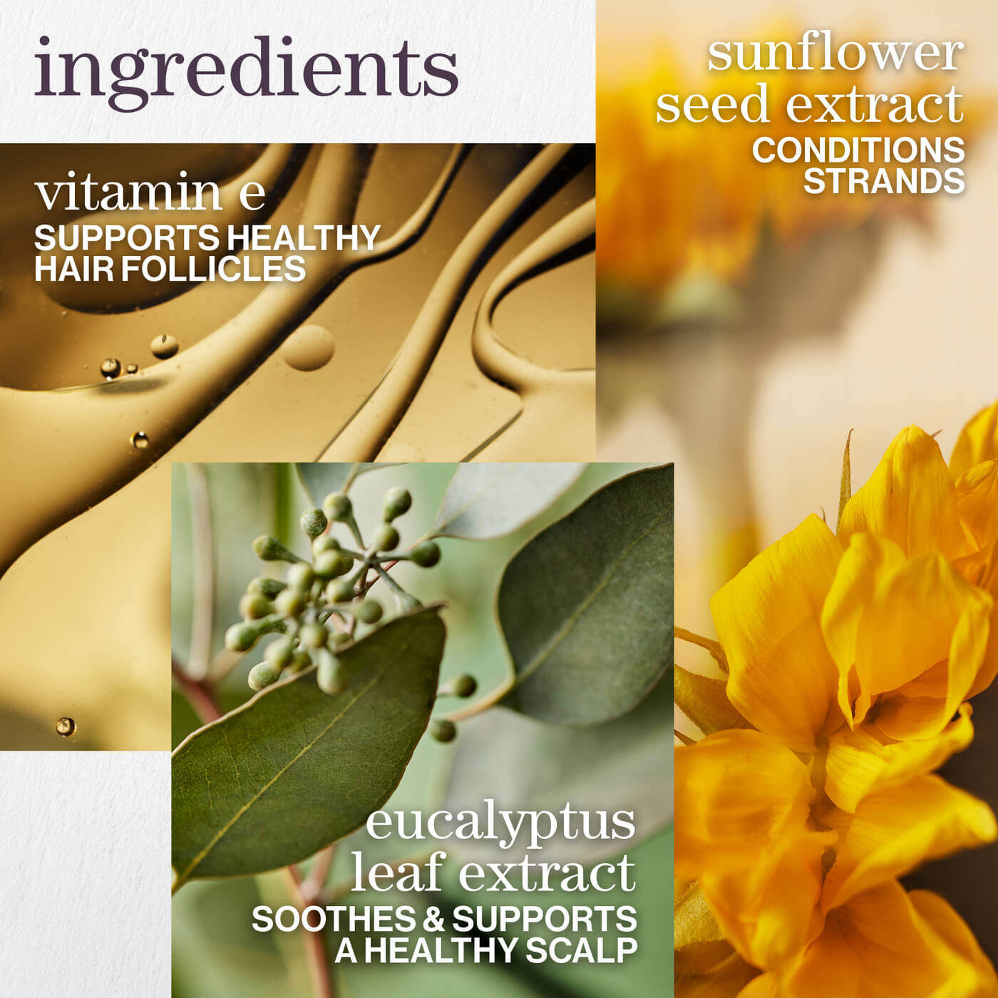 Pure Volume Conditioner - image 5