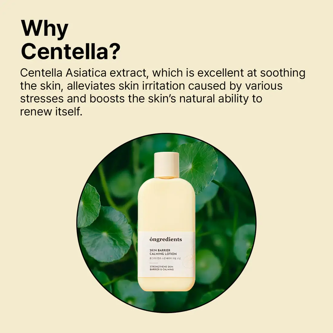 Centella Asiatica Skin Barrier Calming Lotion - image 6