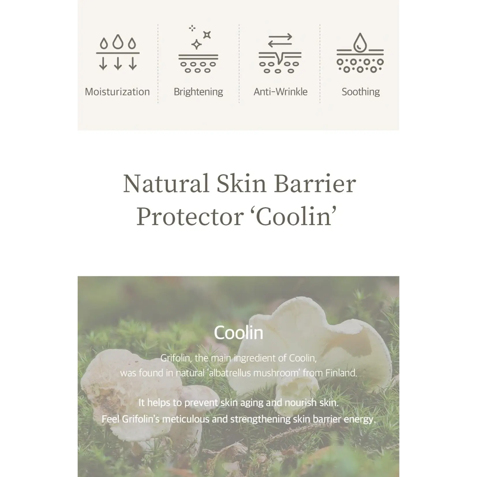 pH balancing essence lotion - image 3