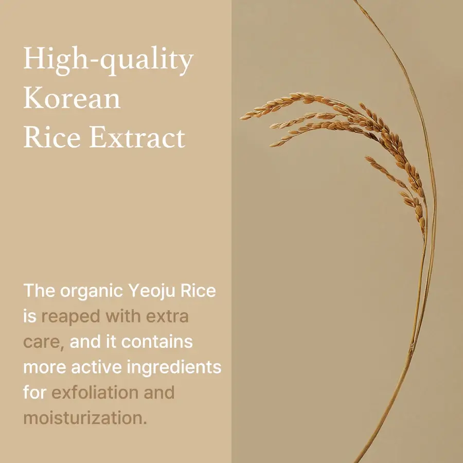 Rice Mask - image 7