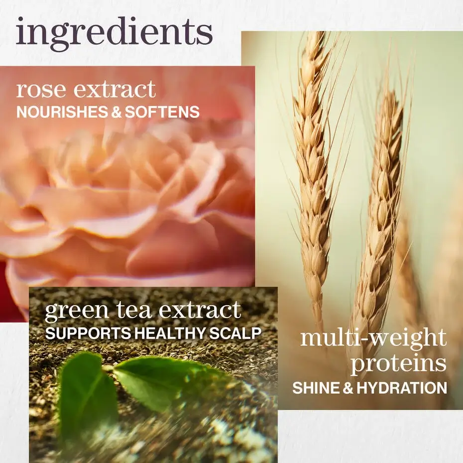 Hydrate Shampoo - image 6