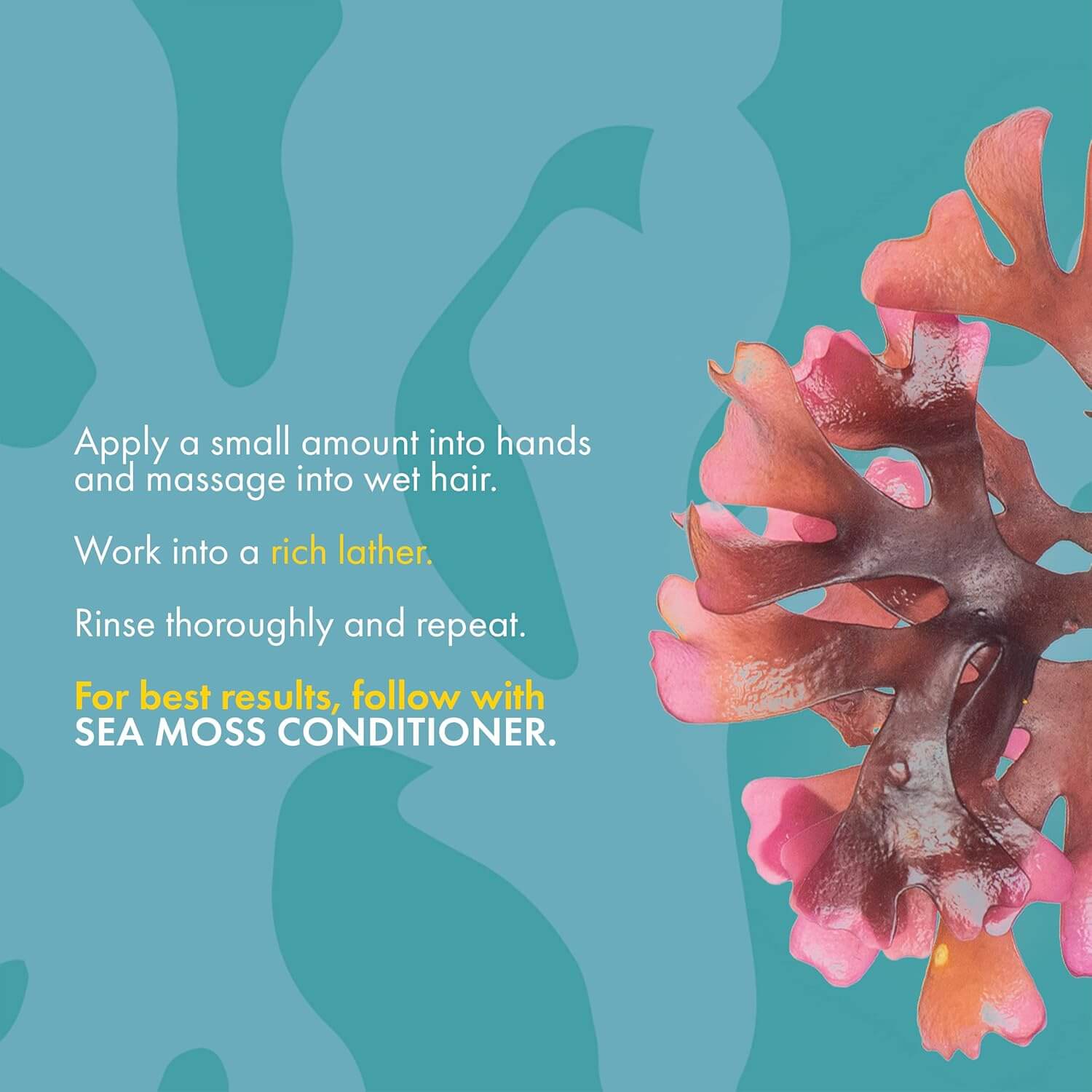 Sea Moss Shampoo - image 5