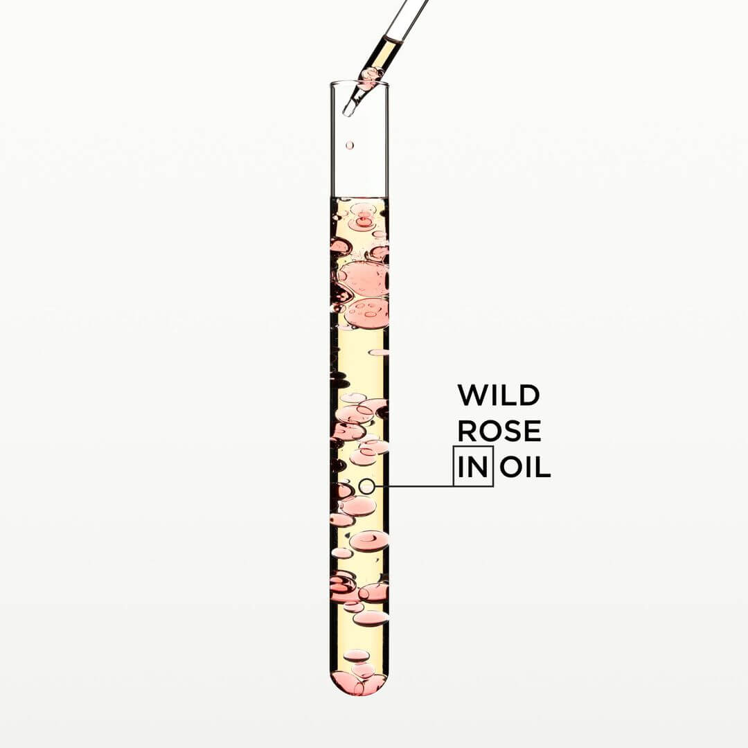 Gloss Absolu Glaze Drops Anti-Frizz Hair Oil - image 5