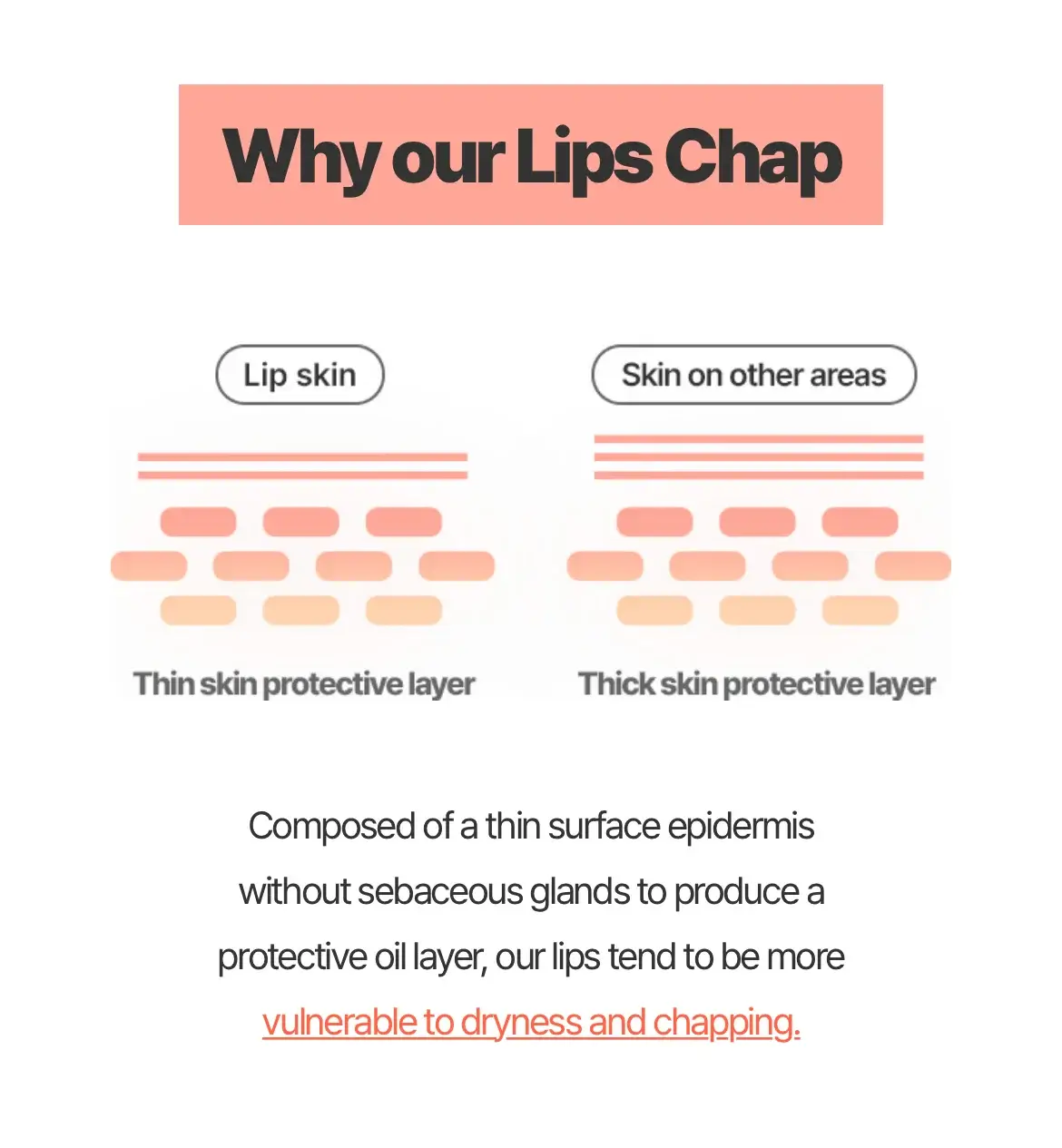 Lip Sleeping Mask EX [Berry] - image 6