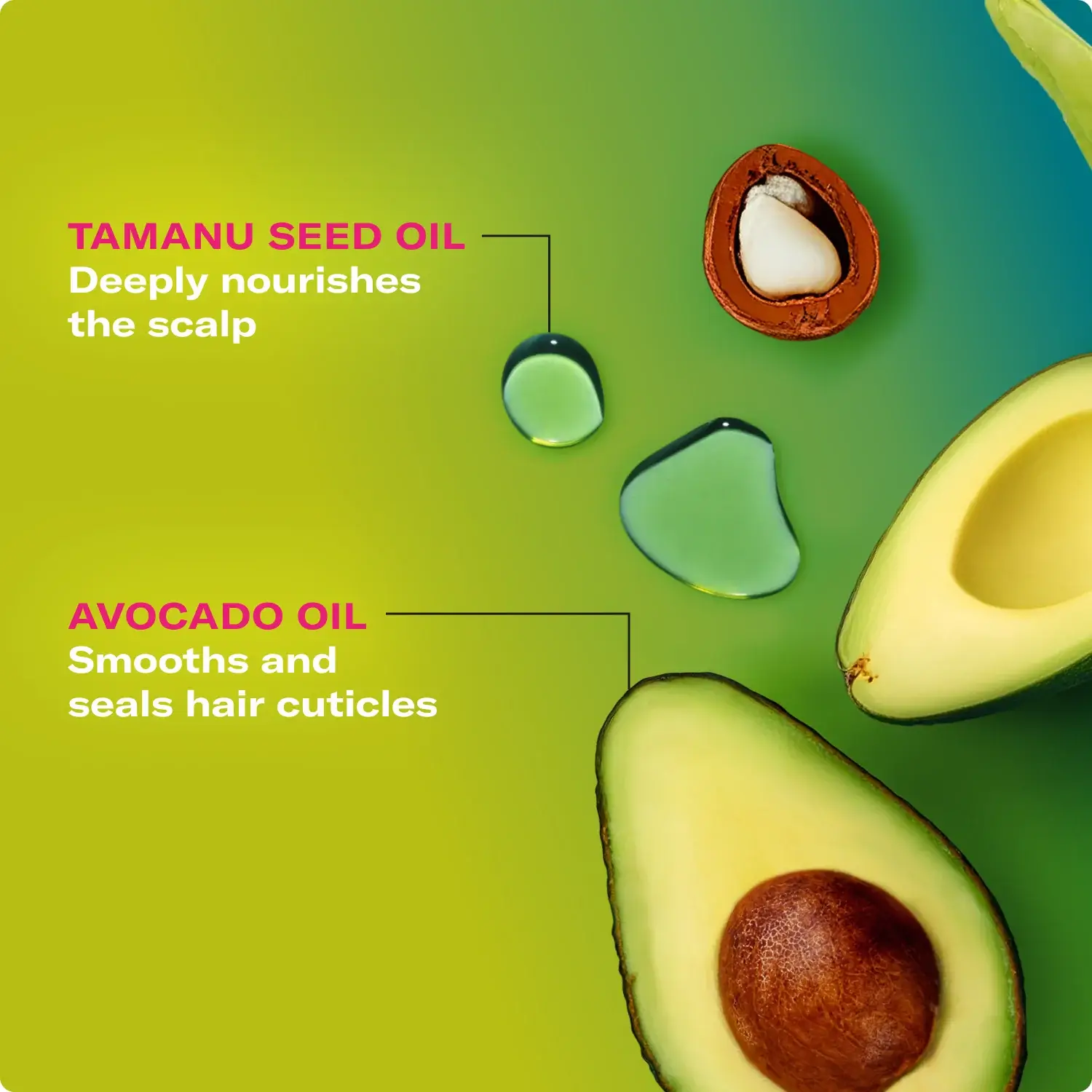 Avocado & Tamanu Anti-Frizz Shampoo - image 4