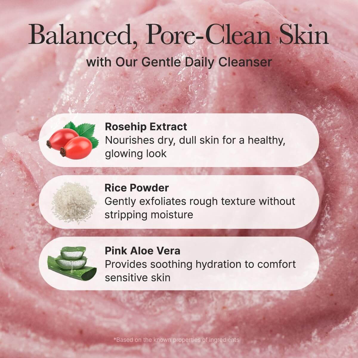 Fresh Rosehip Mochi Cleanser - image 5