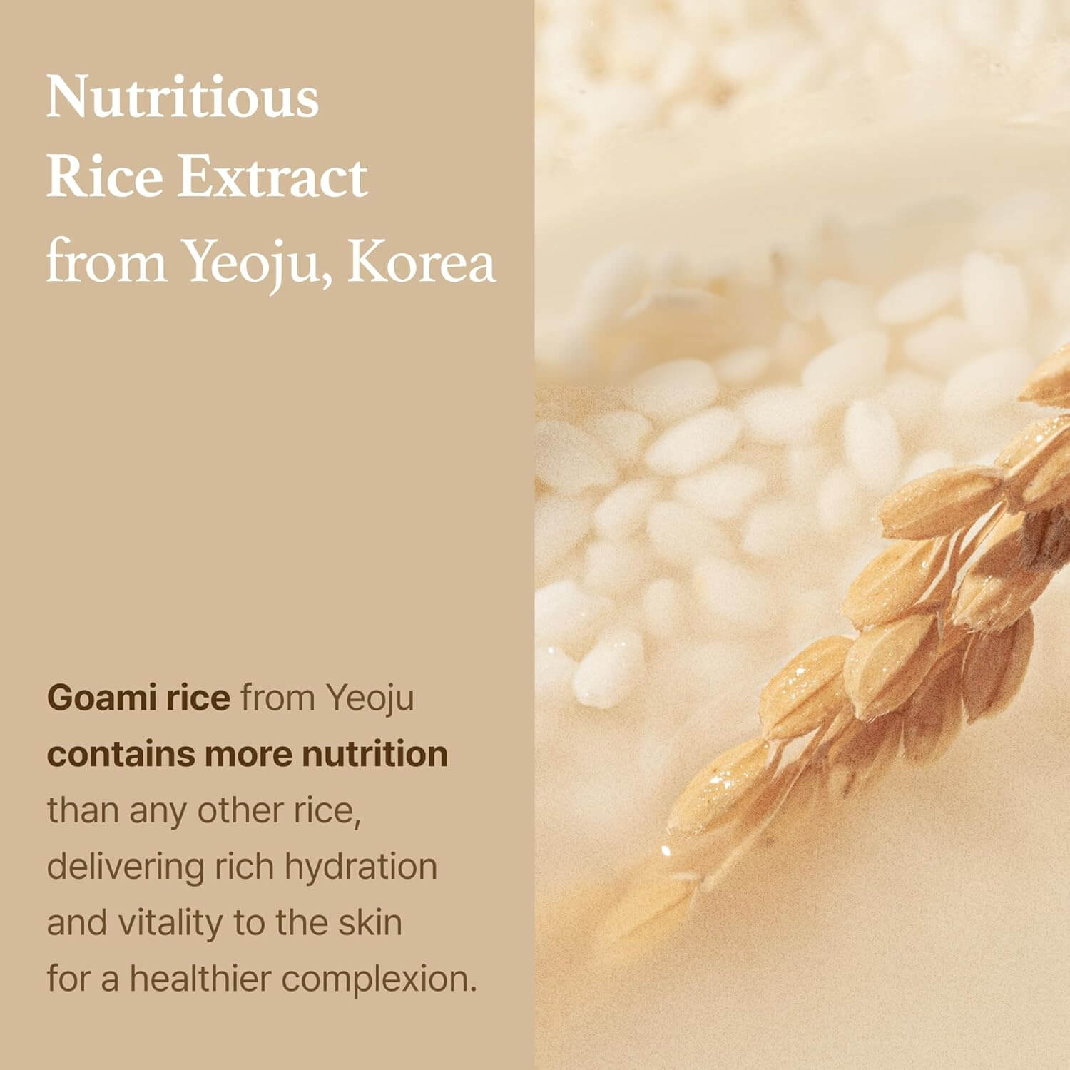 Rice Toner  - image 9