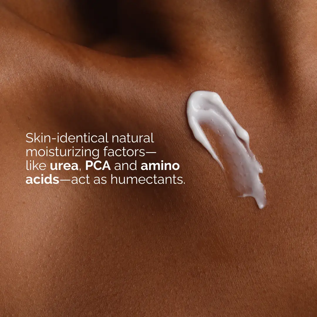 Natural Moisturizing Factors + Inulin Body Lotion - image 7