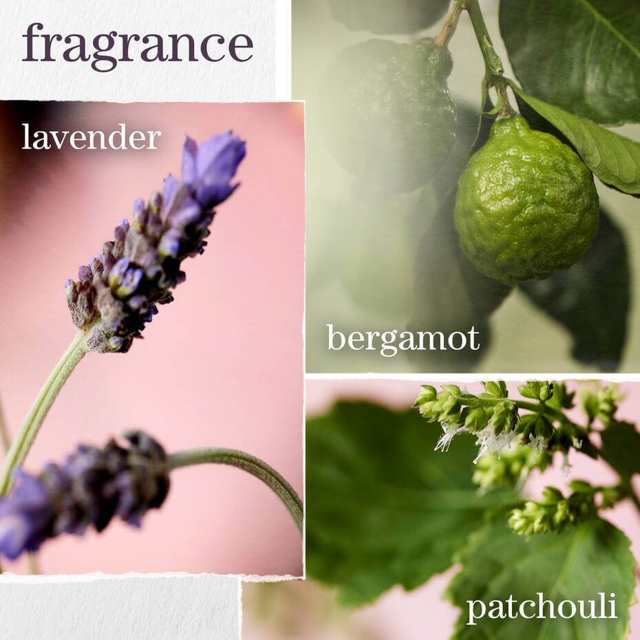 Hydrate Shampoo - image 7