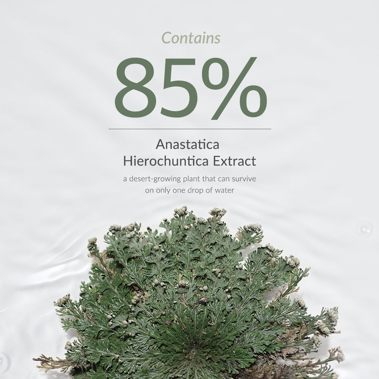 Anastatica Skin Conditioning Toner - image 8
