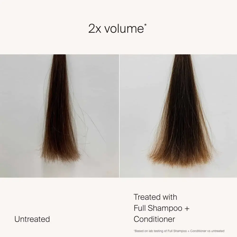 Full Shampoo - image 4