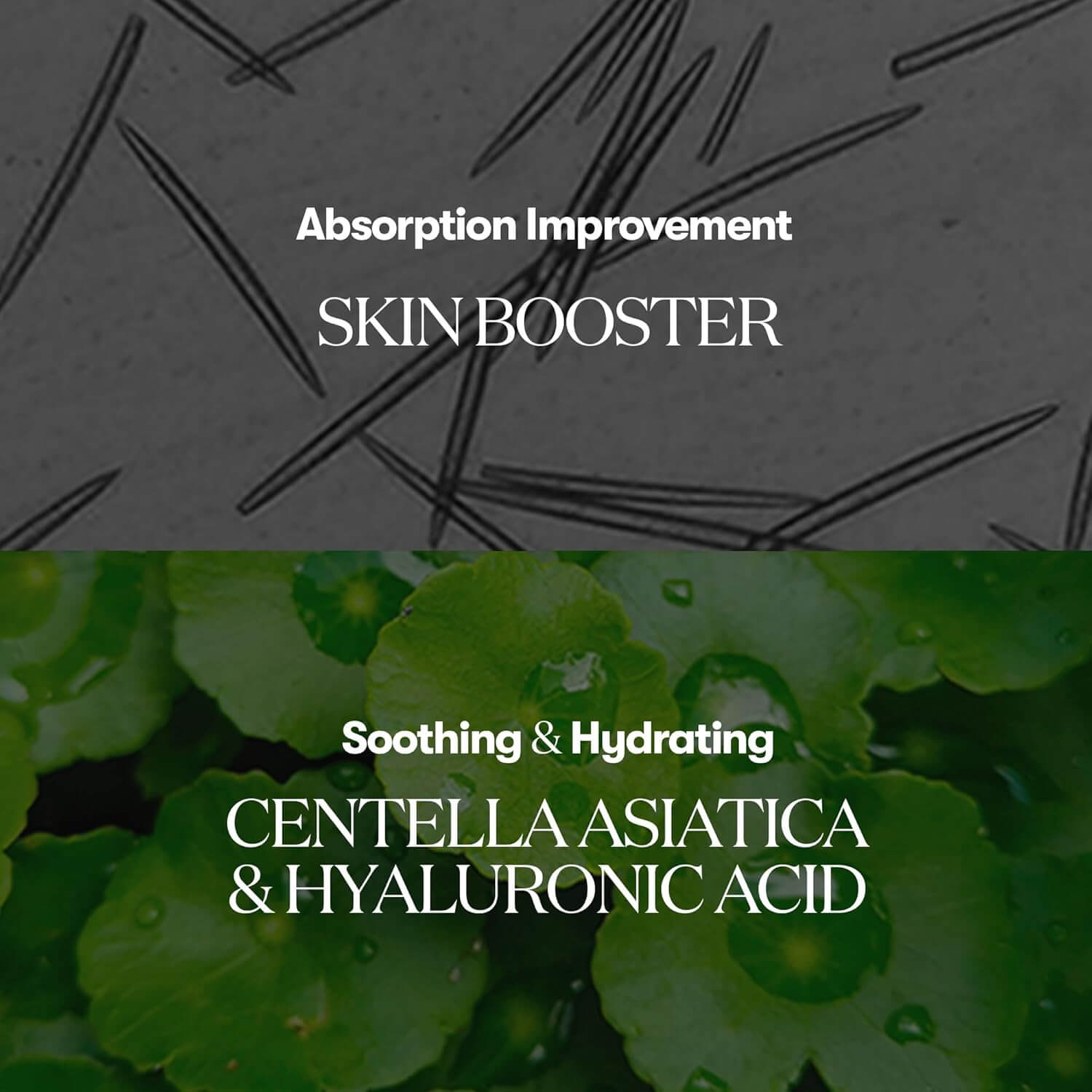 Reedle Shot 100 - image 4