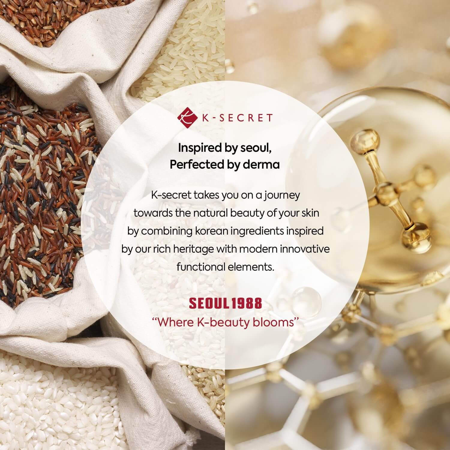 SEOUL 1988 Essence : Snail Mucin 97% + Rice - image 9