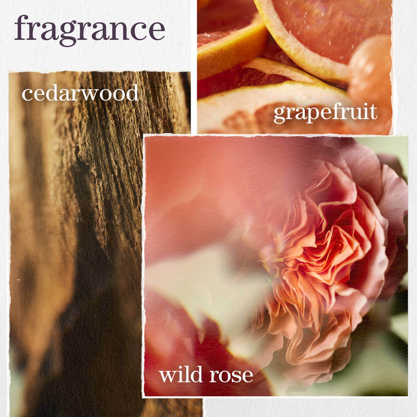 Pure Volume Conditioner - image 6