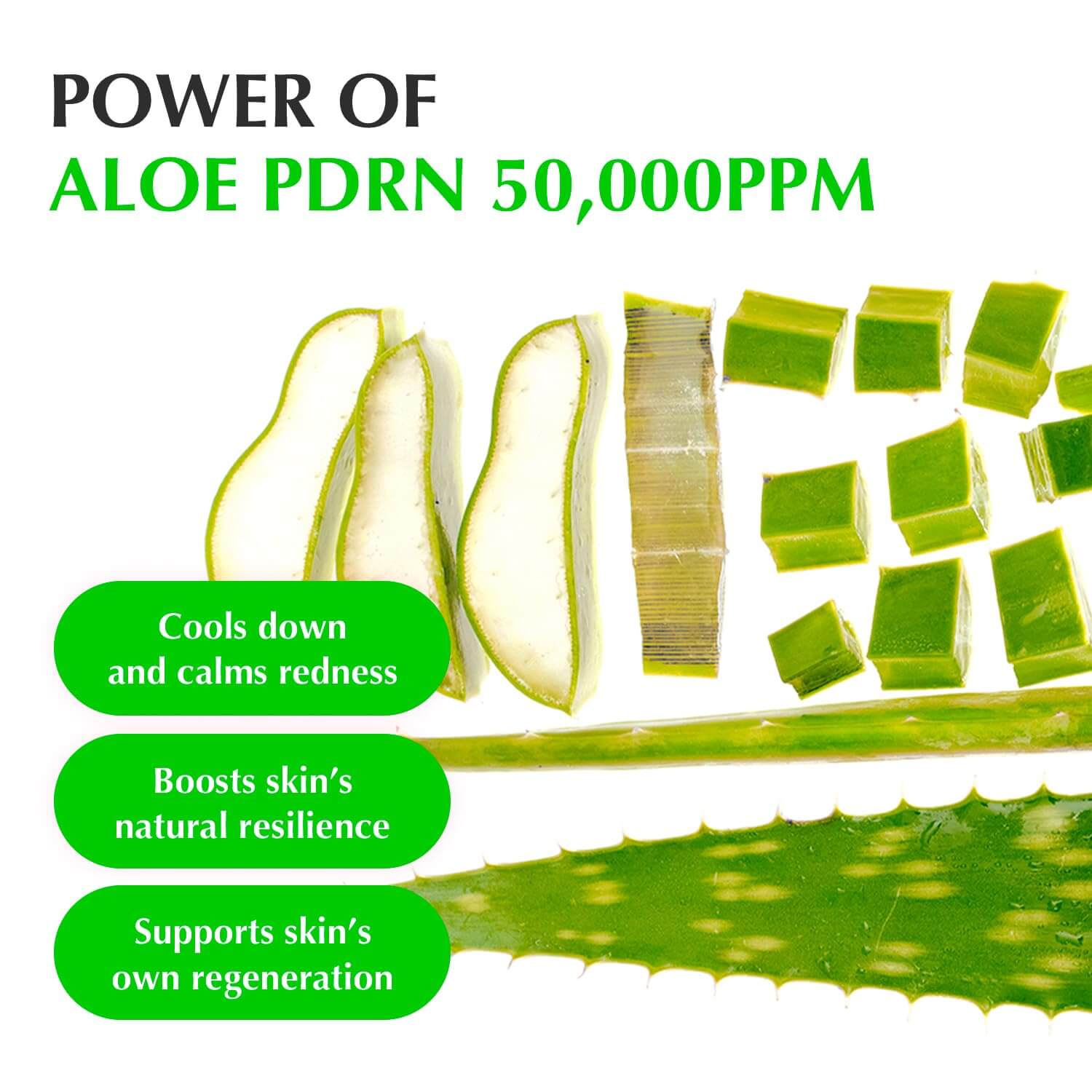 Aloe PDRN Calming Serum - image 6
