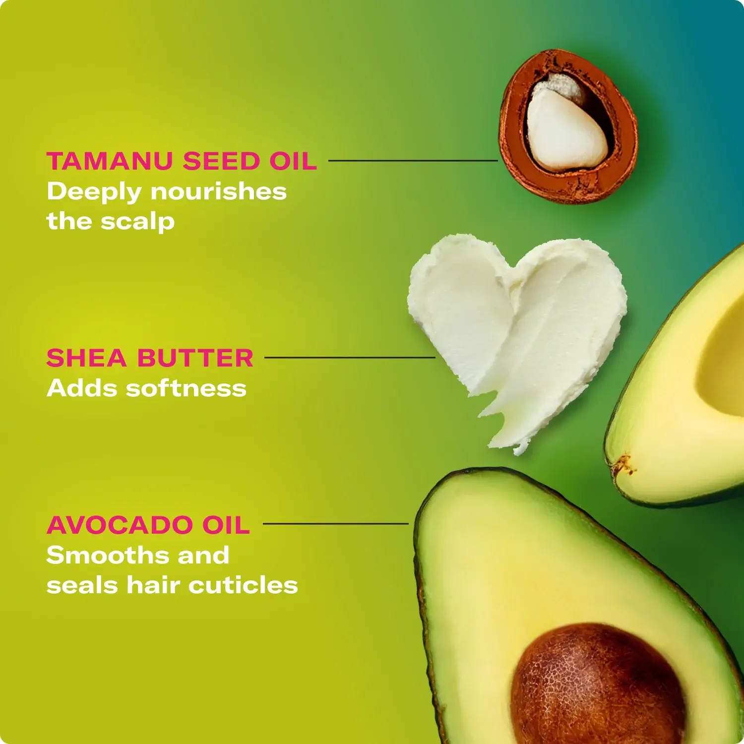 Avocado & Tamanu Anti-Frizz Conditioner - image 4