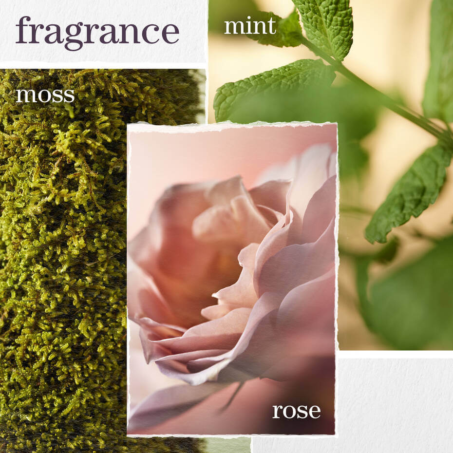 Hydrate Conditioner  - image 7