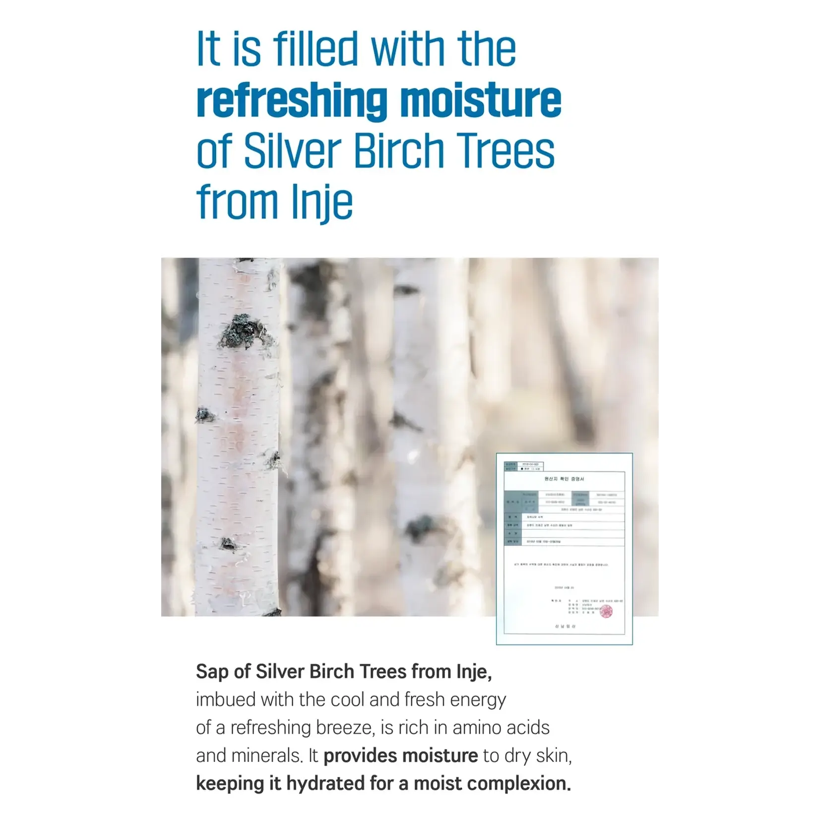 Birch Juice Hand Cream - image 4