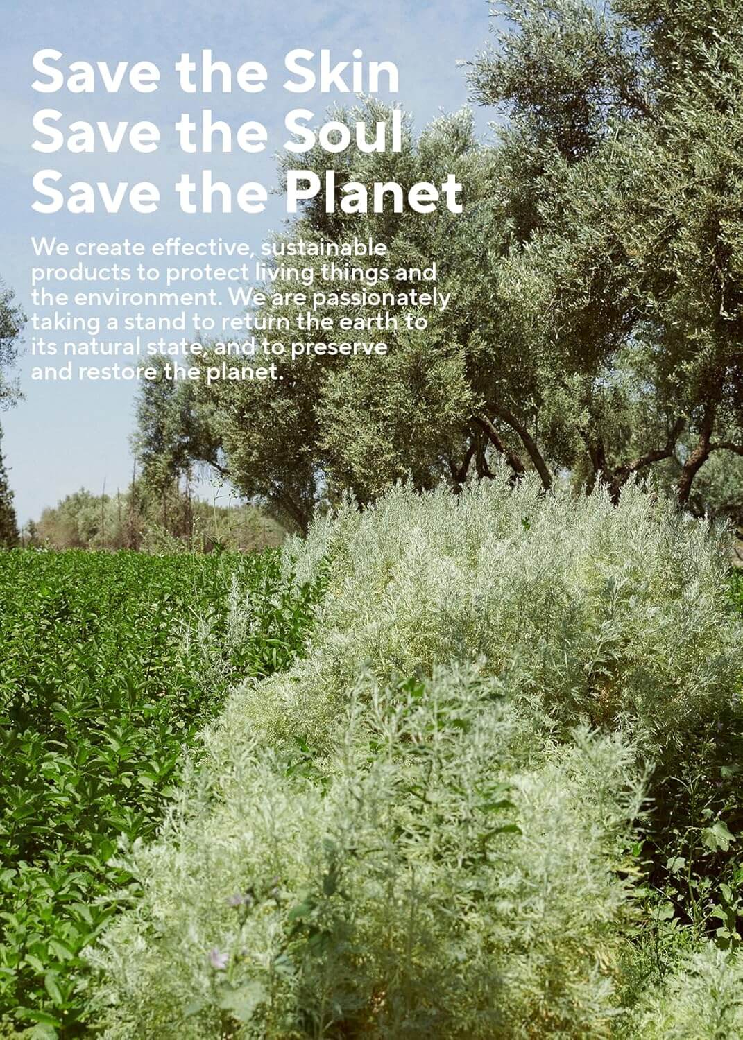 Rosemary 3-in-1 Treatment  - image 9