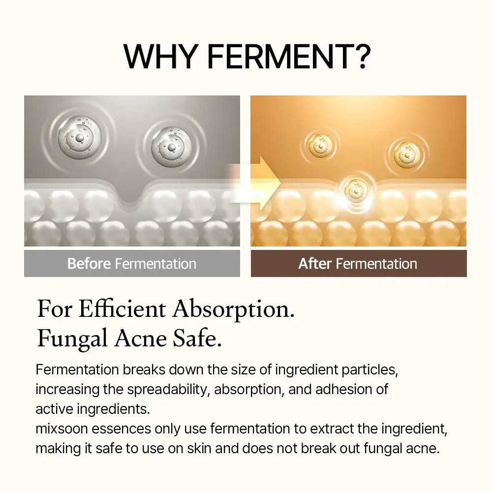 Bean Essence  - image 6