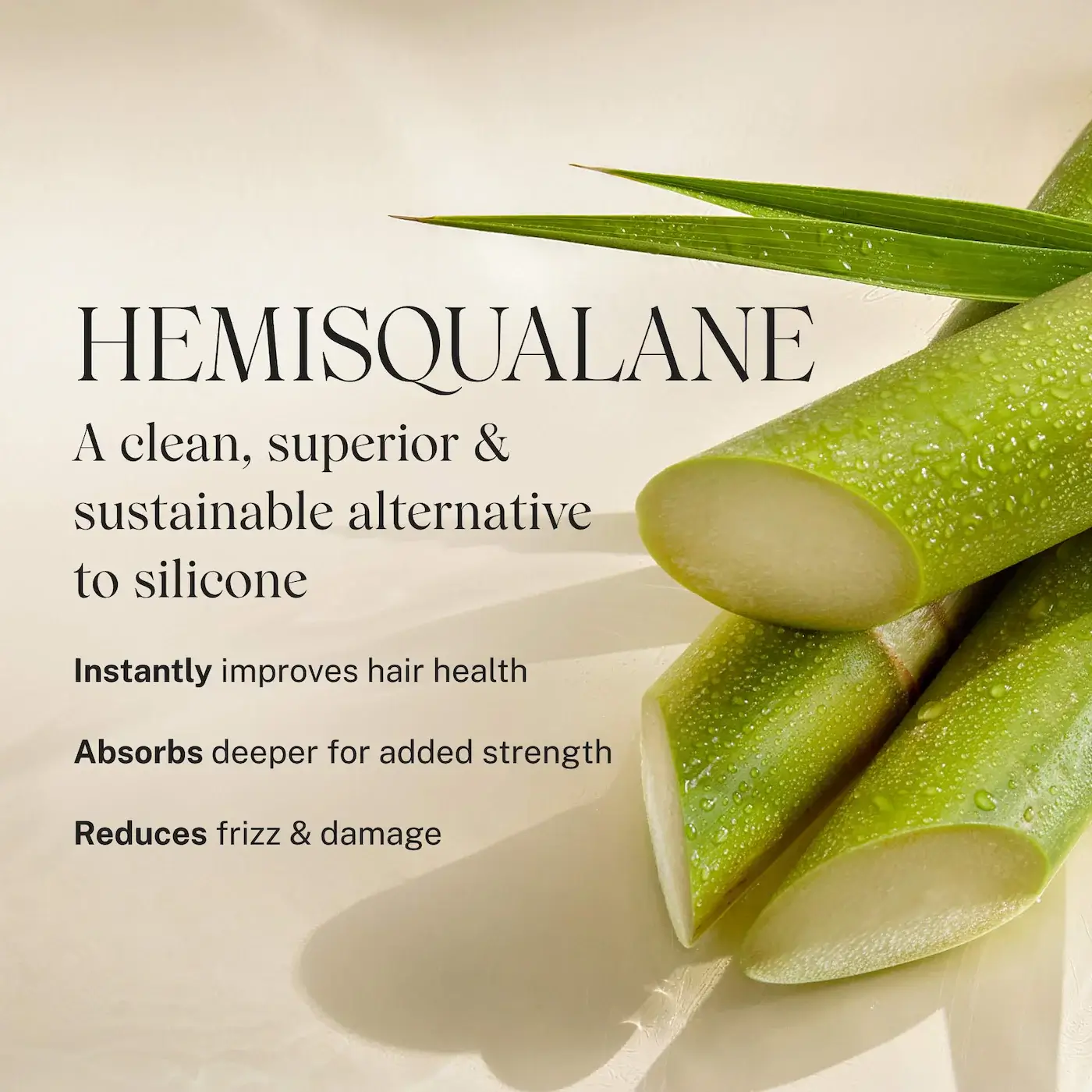 Complete Leave-In Conditioning Mist - image 9