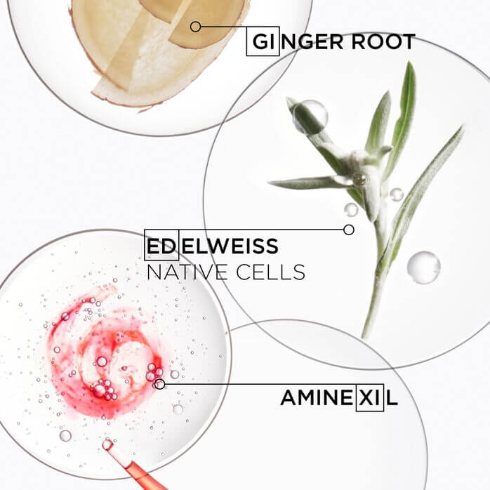 Genesis Bain Nutri-Fortifiant Shampoo  - image 5