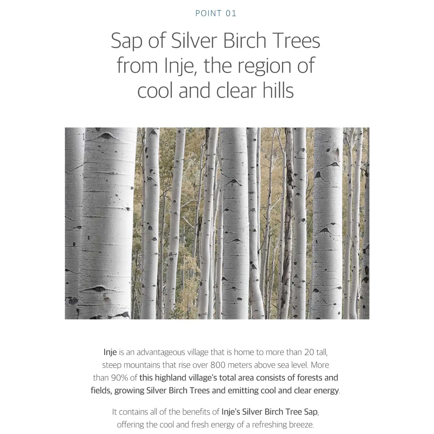 Birch Juice Moisturizing Soothing Gel - image 4