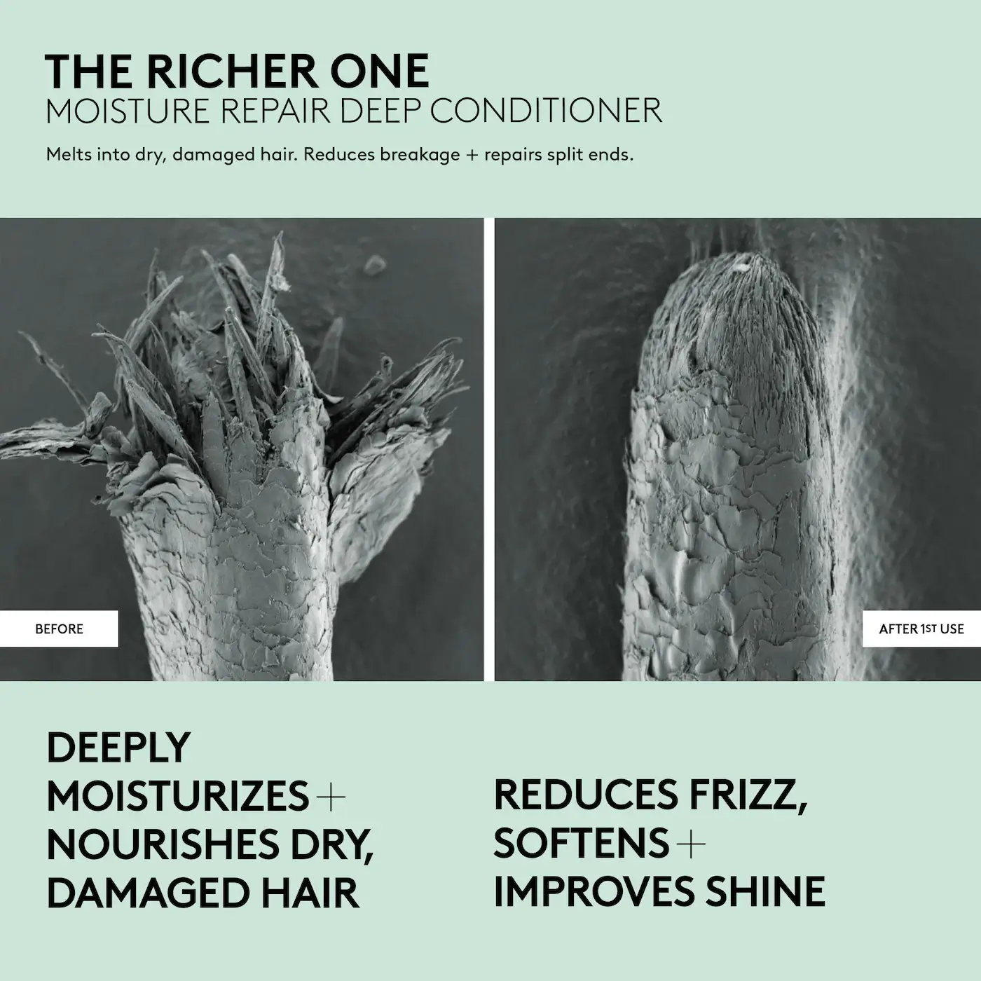 The Richer One Moisture Repair Deep Conditioner - image 4
