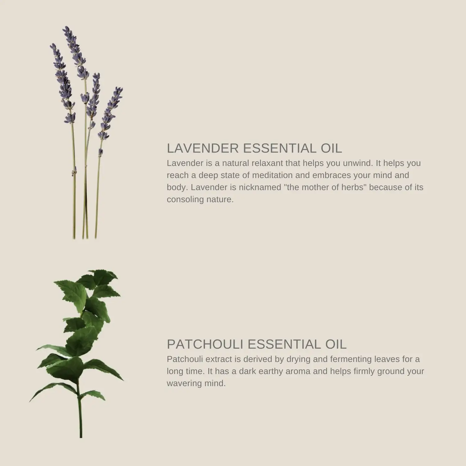 Ritual Hair Oil Lavender & Patchouli - image 5