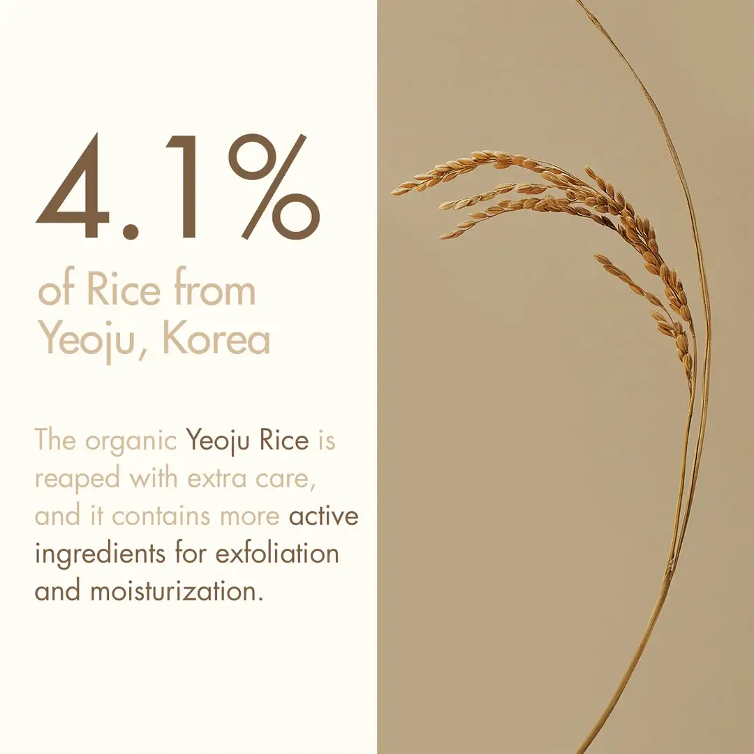 Rice Mask - image 8