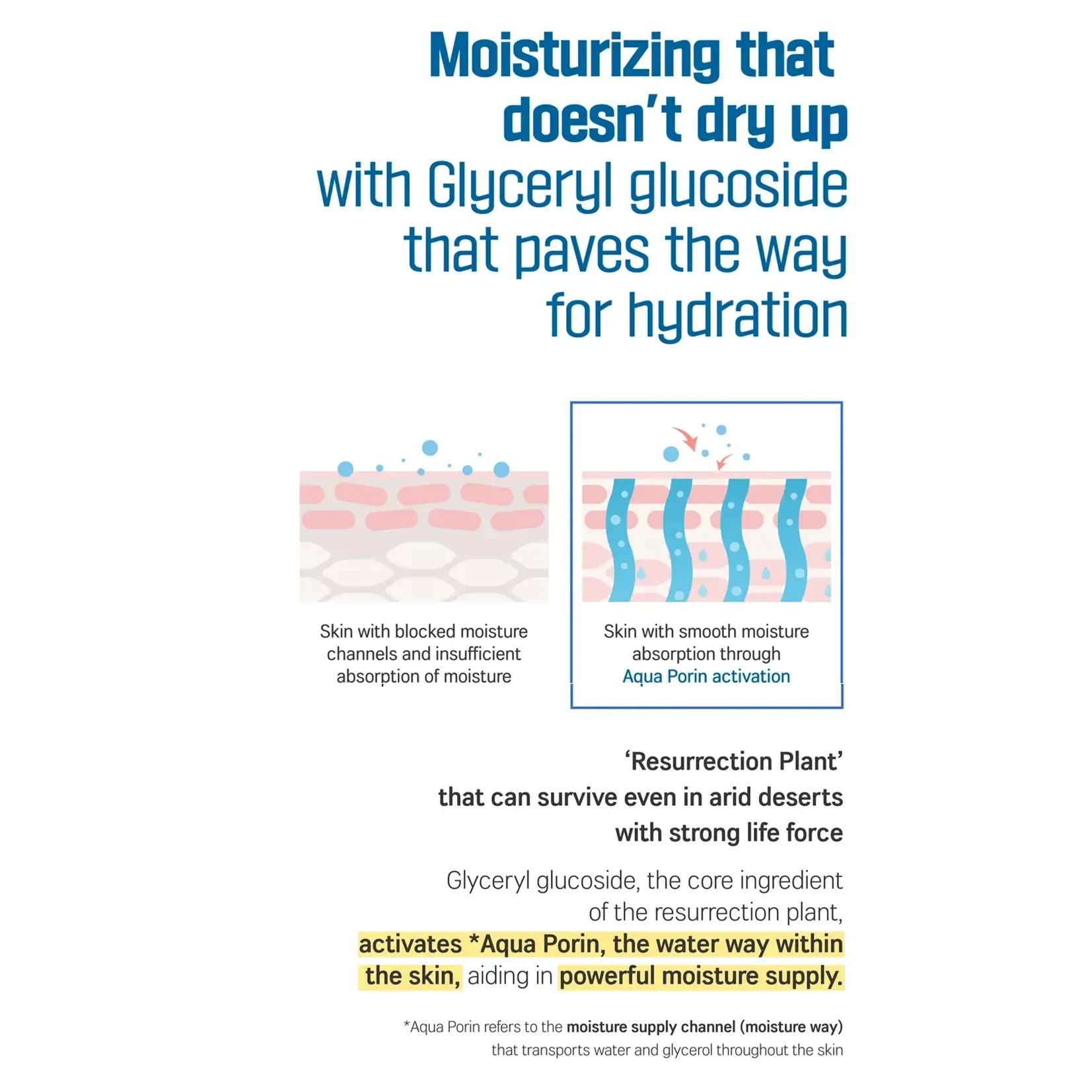 Birch Juice Hand Cream - image 5