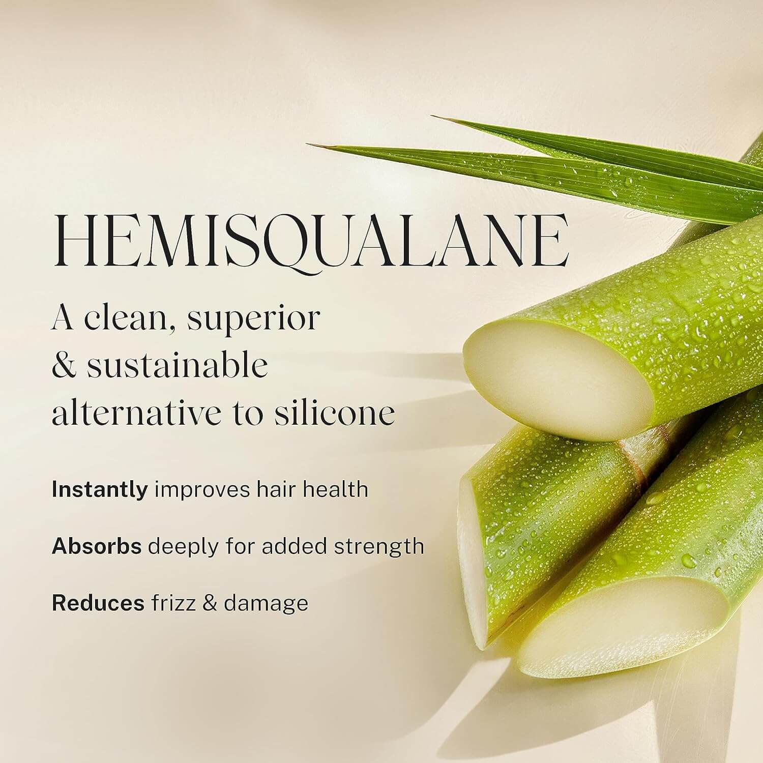 Trusted Trio Essentials Set - image 9