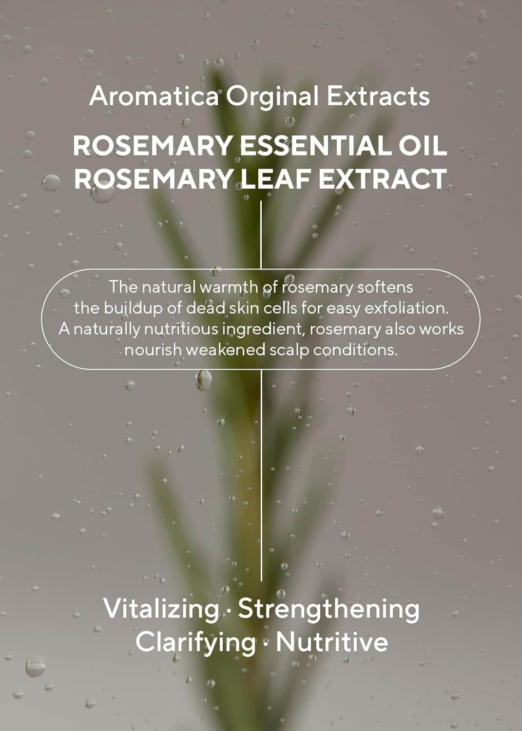 Rosemary 3-in-1 Treatment  - image 6