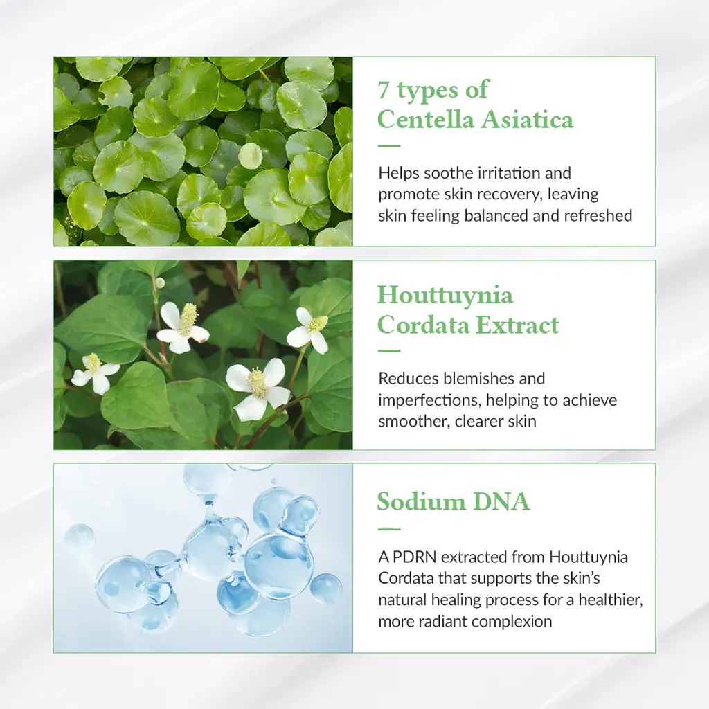 Green Tea Fresh Sunscreen - image 6