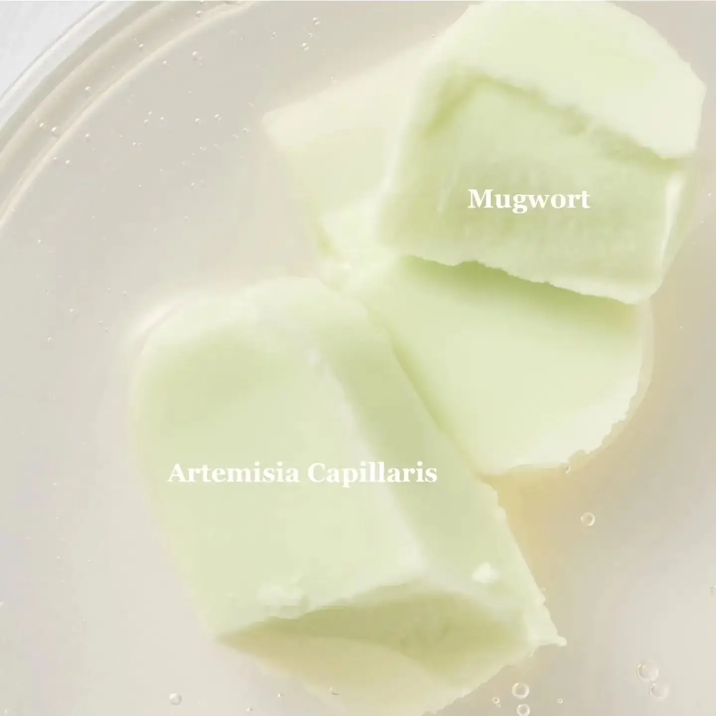  Matte Sun Stick : Mugwort + Camelia SPF50+ PA++++ - image 7