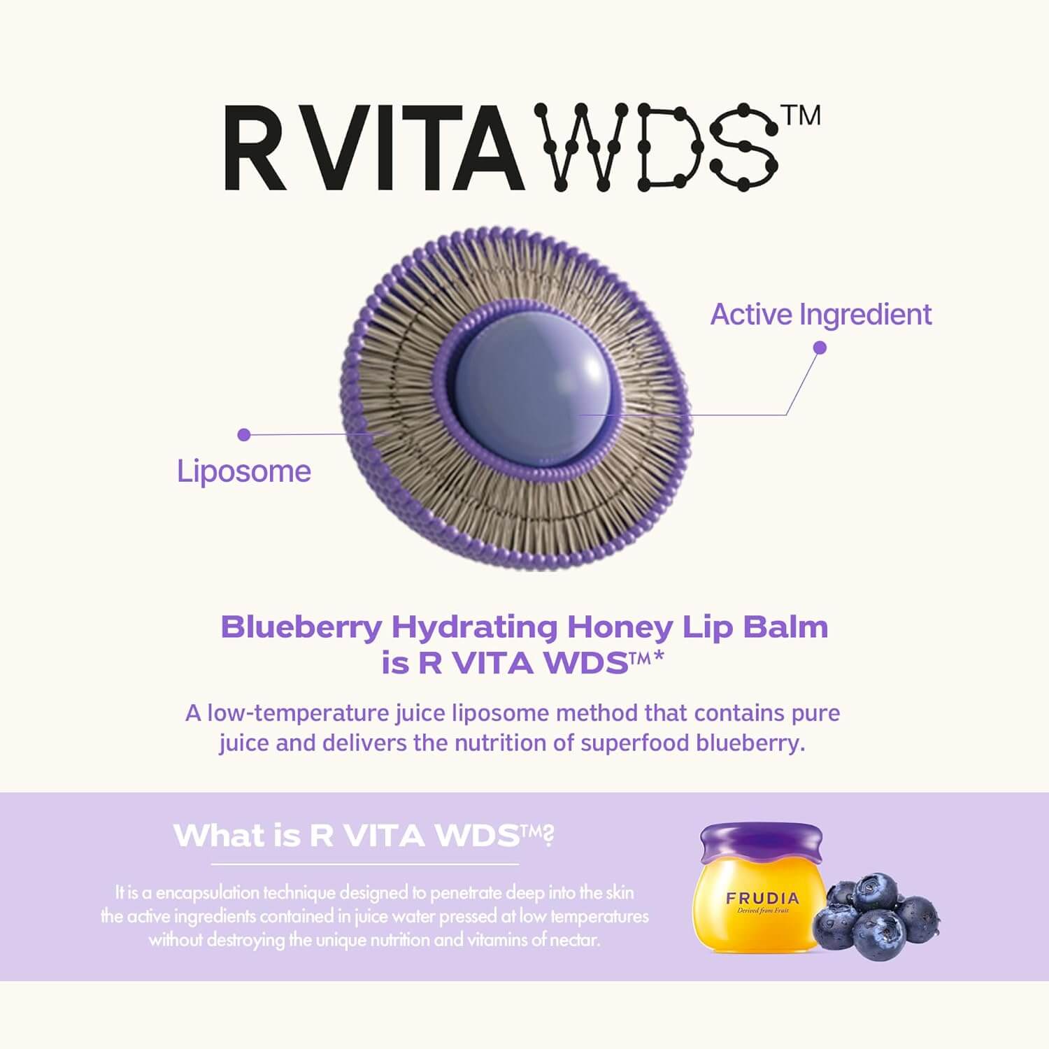 Blueberry Hydrating Honey Lip Balm - image 5