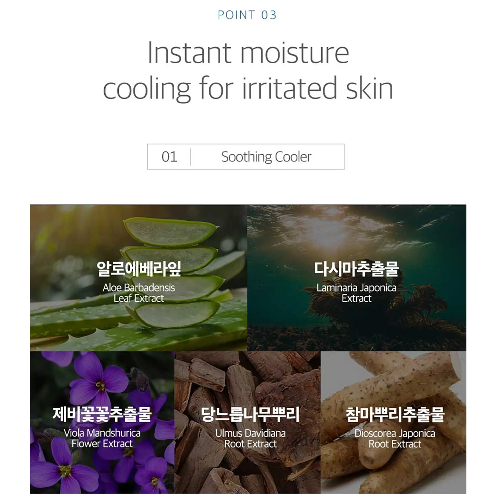 Birch Juice Moisturizing Soothing Gel - image 6