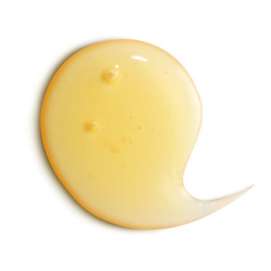 Dercos Densi-Solutions Thickening Shampoo - image 5