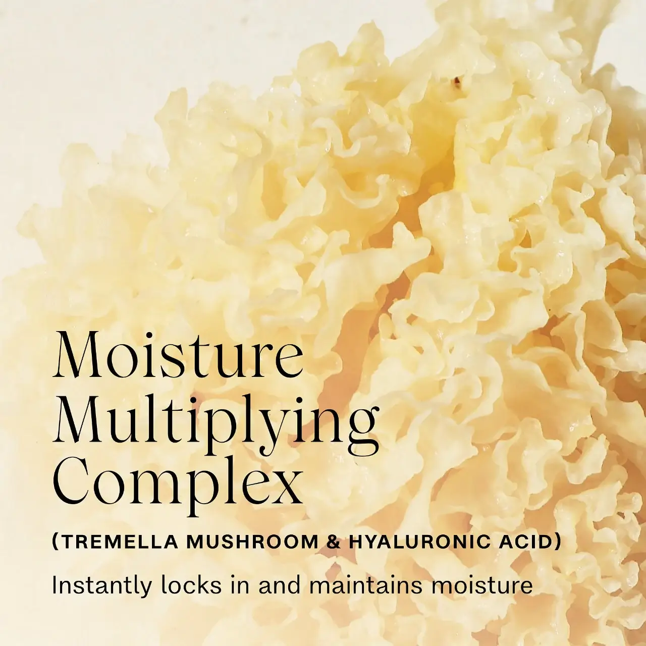 Complete Leave-In Conditioning Mist - image 3