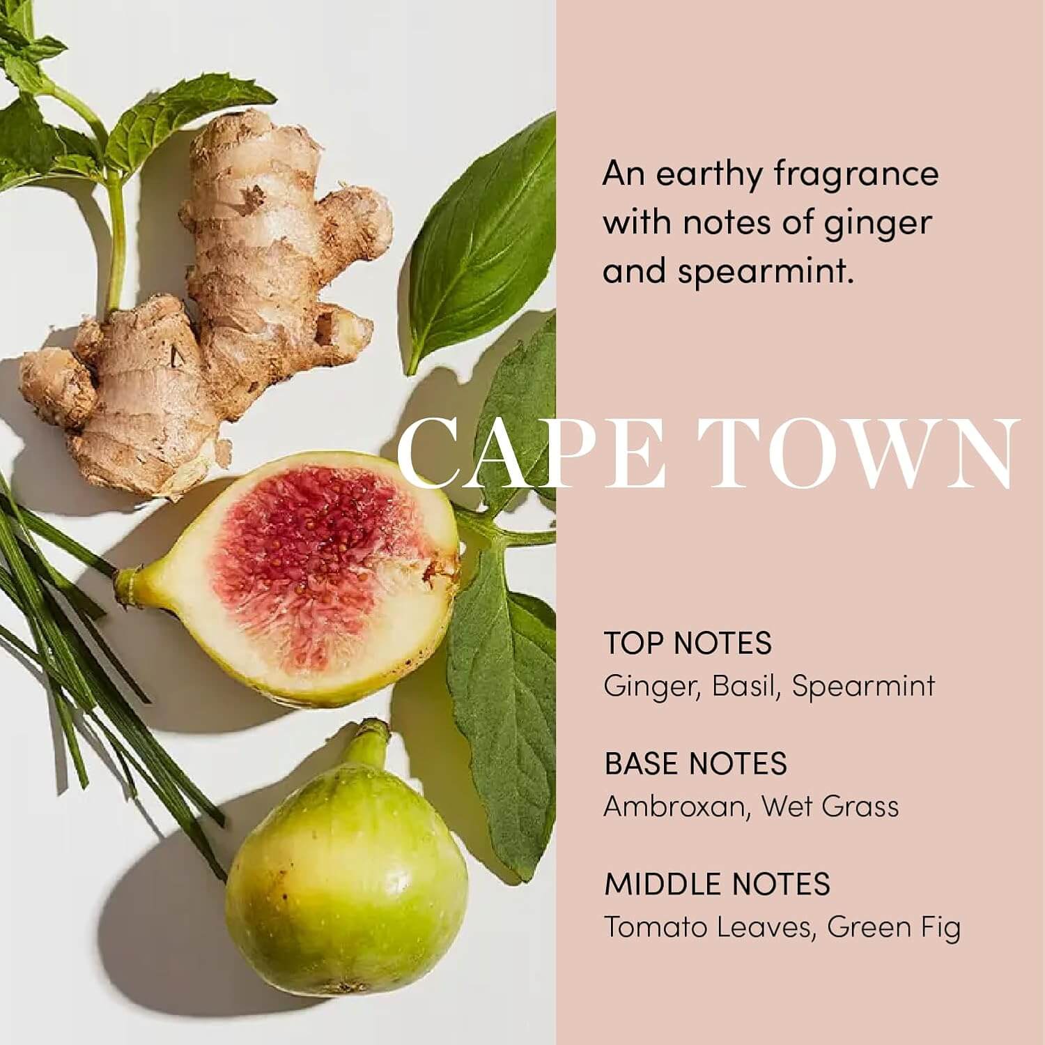 Scalp Serum - image 9